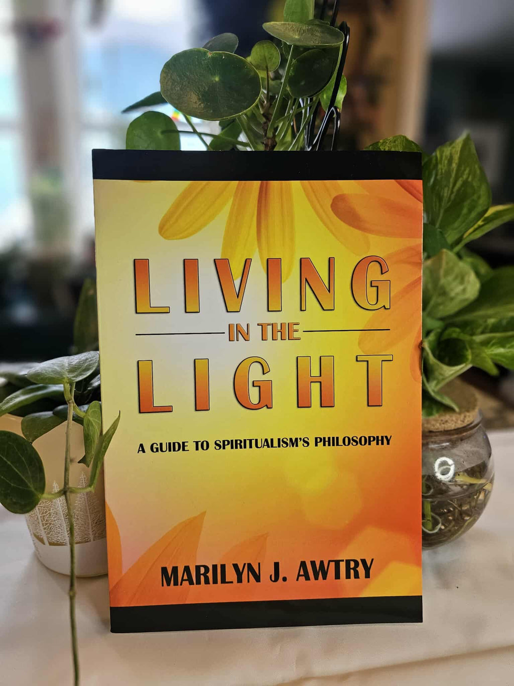 Living In The Light by Marilyn J. Awtry - Book