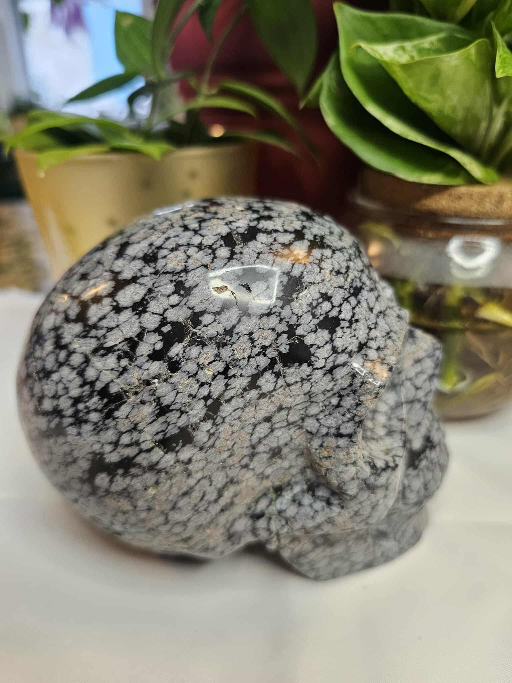 Snowflake Obsidian Crystal Skull – Calm, Cool, and a Little Bit Spooky-Cute