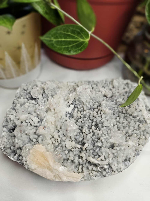 Apophyllite Crystal – Your Personal Beam of Calm, Clarity, and Sparkle