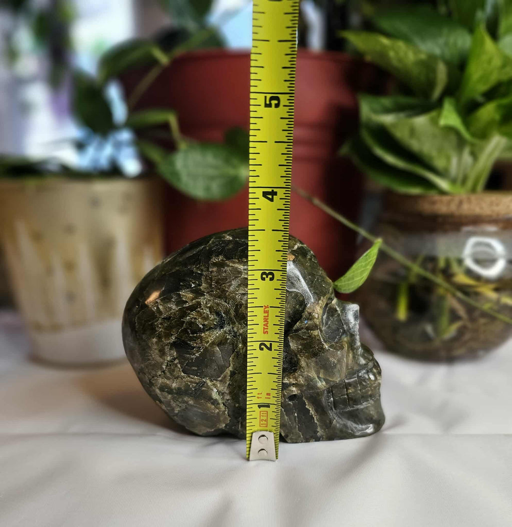 Labradorite Crystal Skull – A Sparkly Little Portal to Possibility