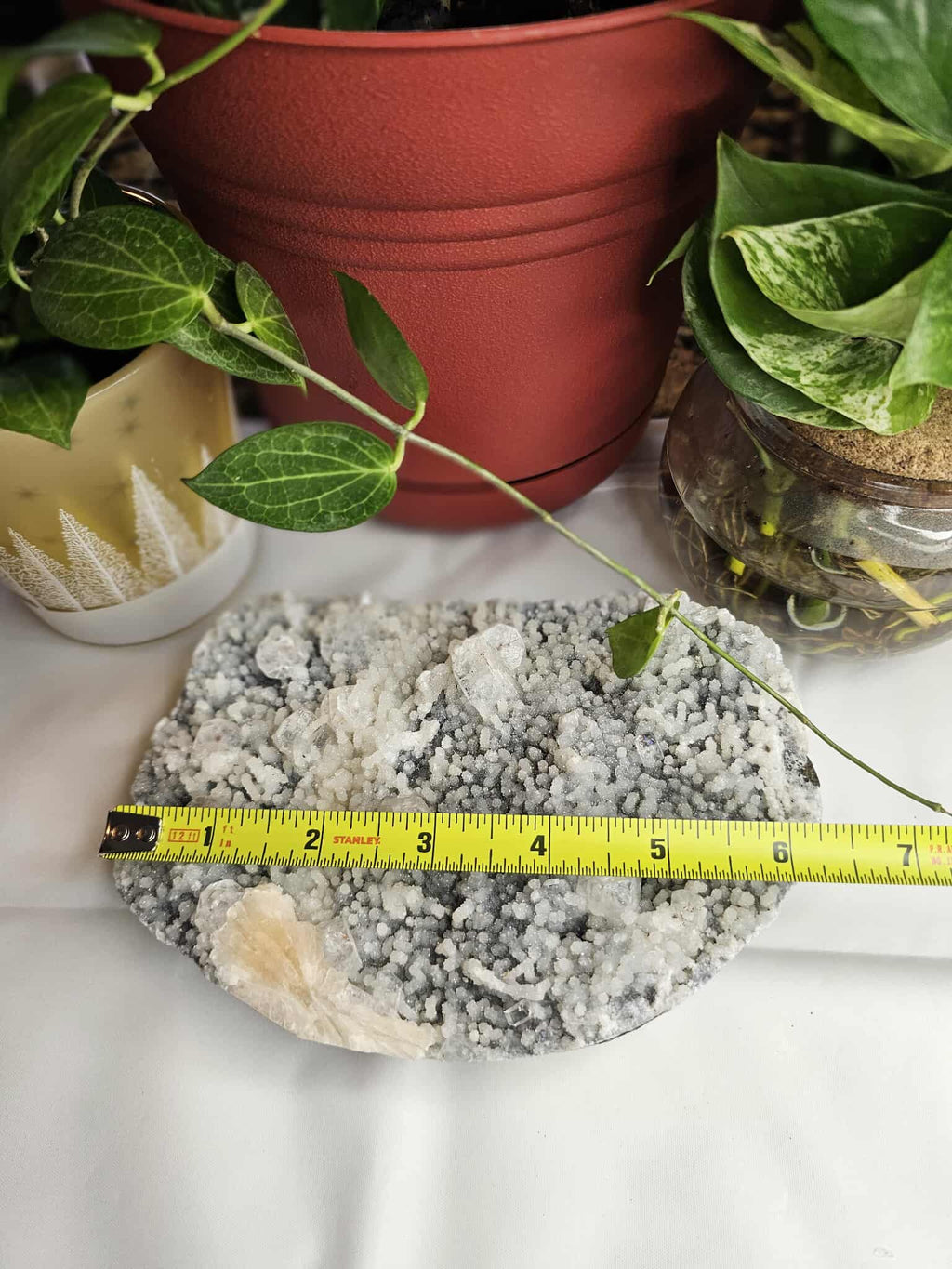 Apophyllite Crystal – Your Personal Beam of Calm, Clarity, and Sparkle