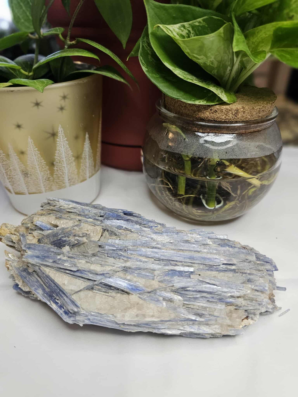 Blue Kyanite – The “Speak Your Truth” Stone With Sky‑High Vibes