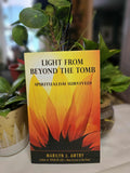 Light From Beyond The Tomb by Marilyn J. Awtry - Book