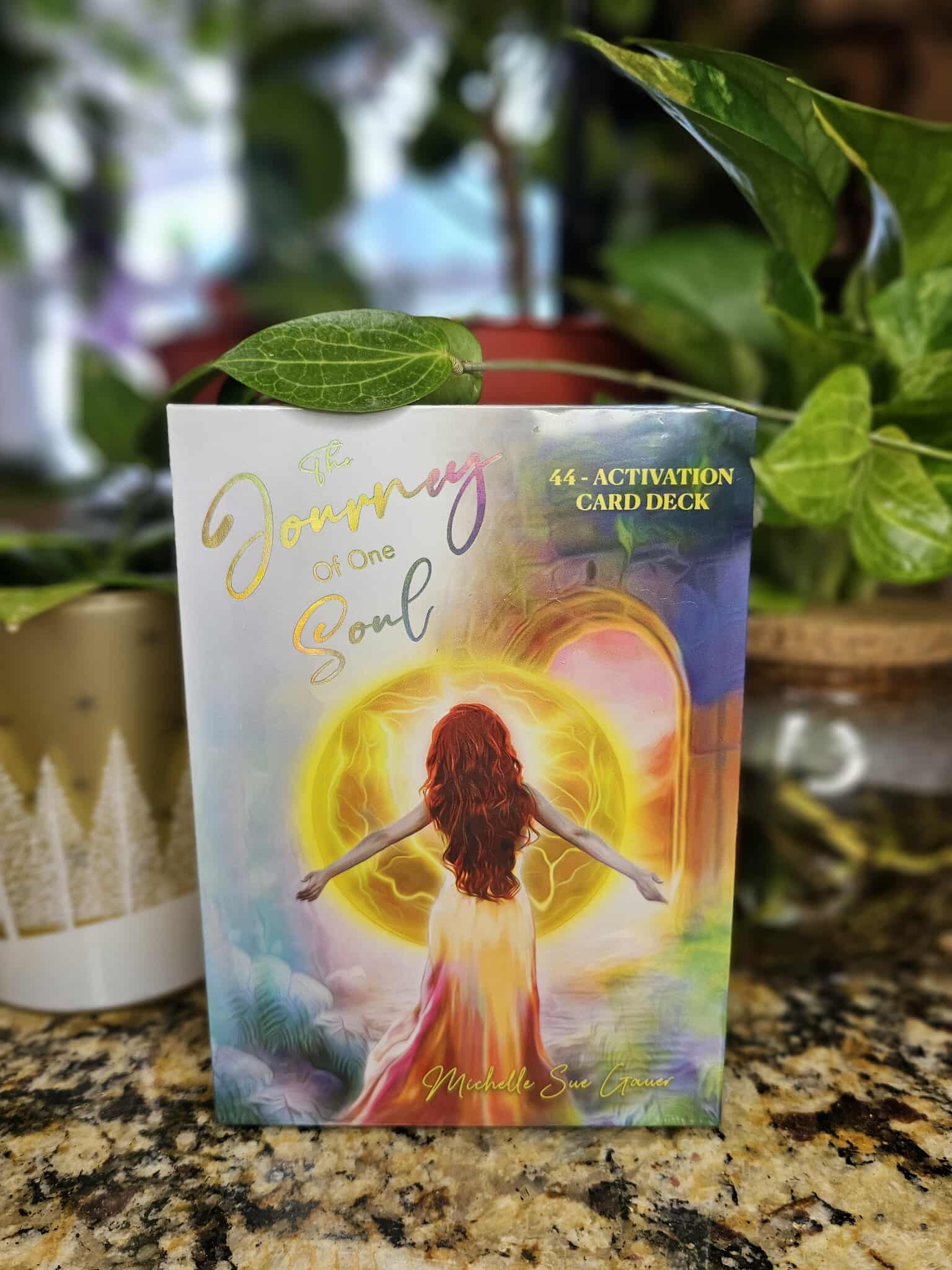 The Journey of One Soul by Michelle Sue Gauer