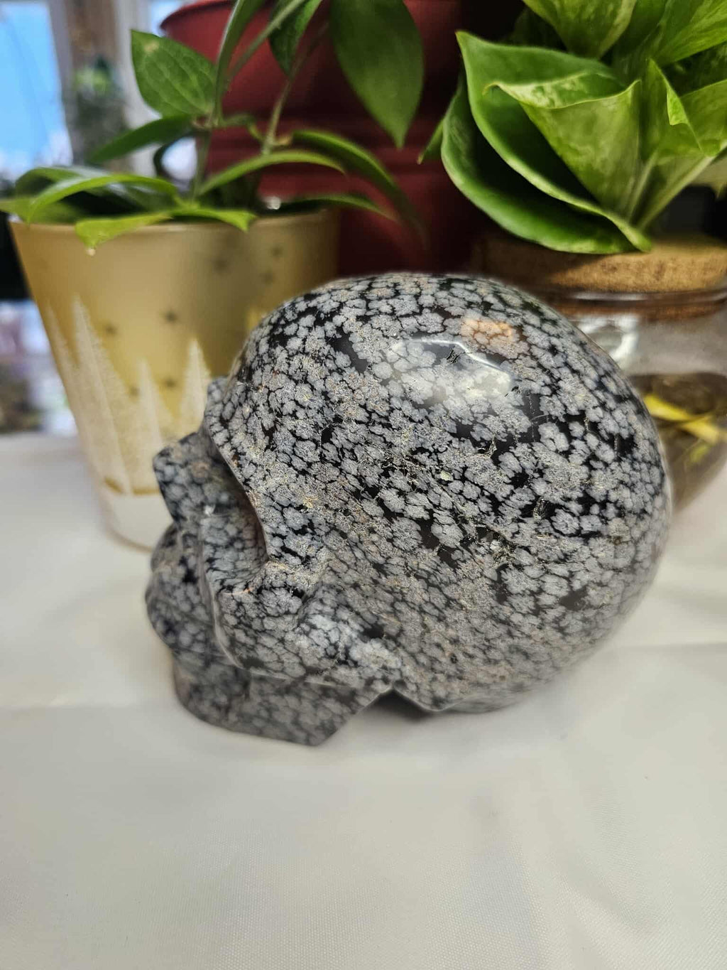 Snowflake Obsidian Crystal Skull – Calm, Cool, and a Little Bit Spooky-Cute