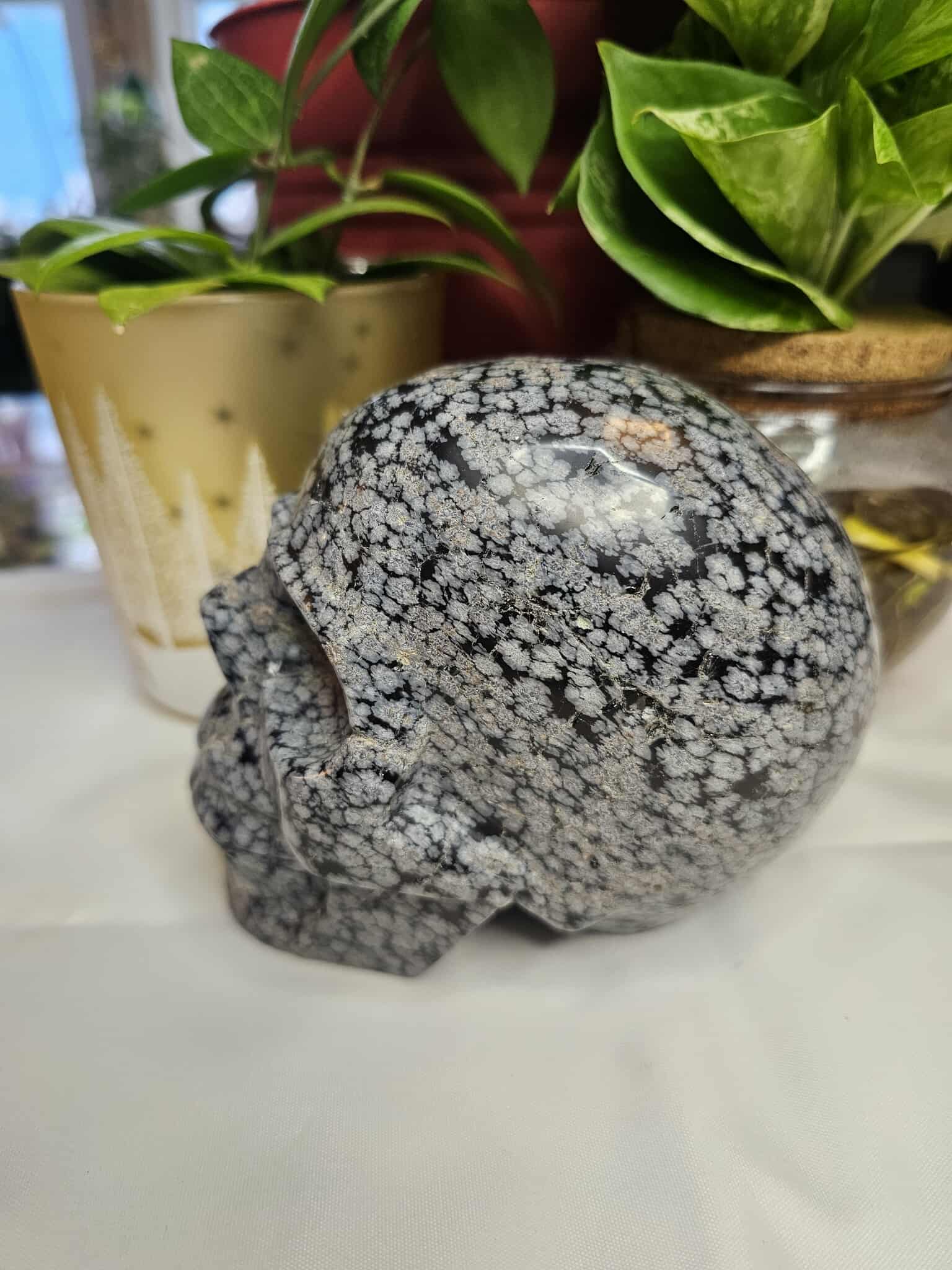 Snowflake Obsidian Crystal Skull – Calm, Cool, and a Little Bit Spooky-Cute