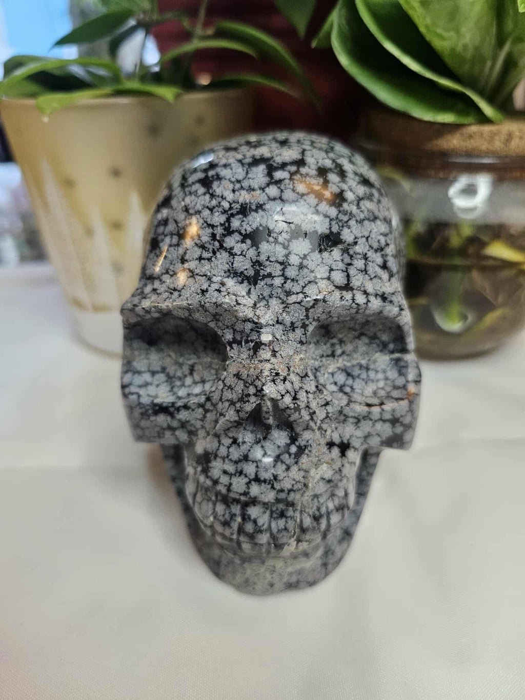 Snowflake Obsidian Crystal Skull – Calm, Cool, and a Little Bit Spooky-Cute