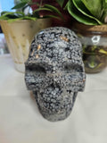 Snowflake Obsidian Crystal Skull – Calm, Cool, and a Little Bit Spooky-Cute