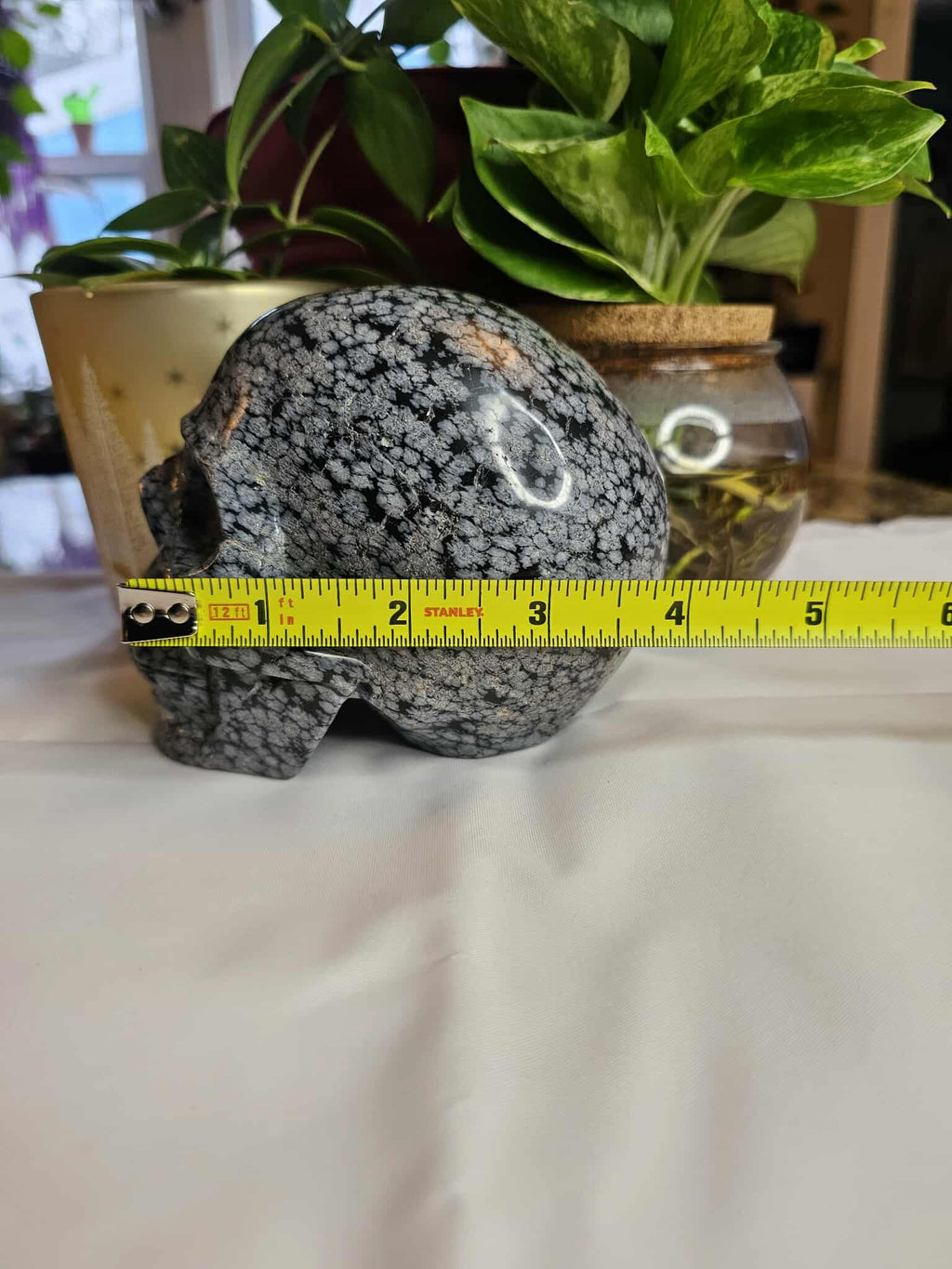 Snowflake Obsidian Crystal Skull – Calm, Cool, and a Little Bit Spooky-Cute