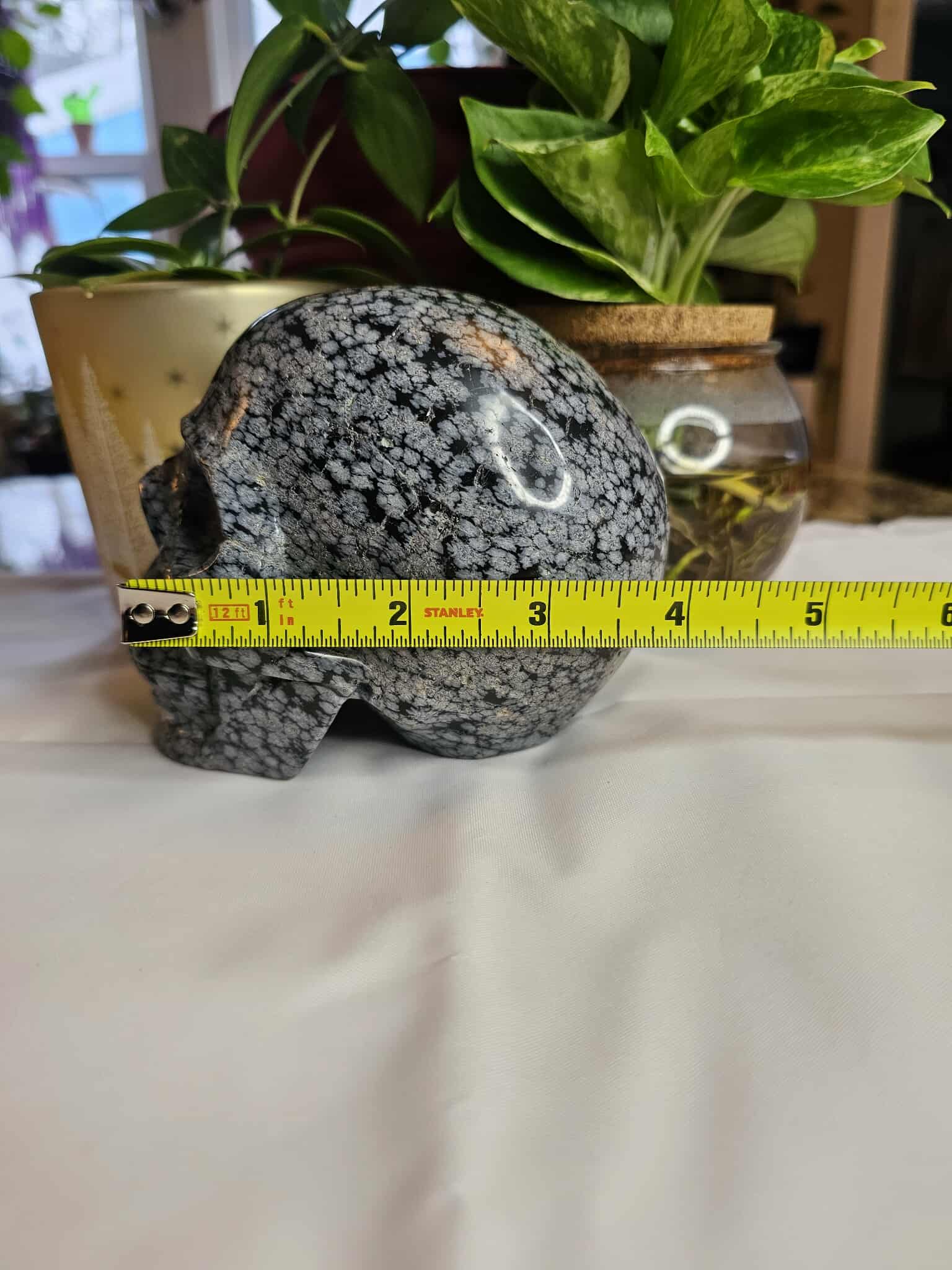 Snowflake Obsidian Crystal Skull – Calm, Cool, and a Little Bit Spooky-Cute