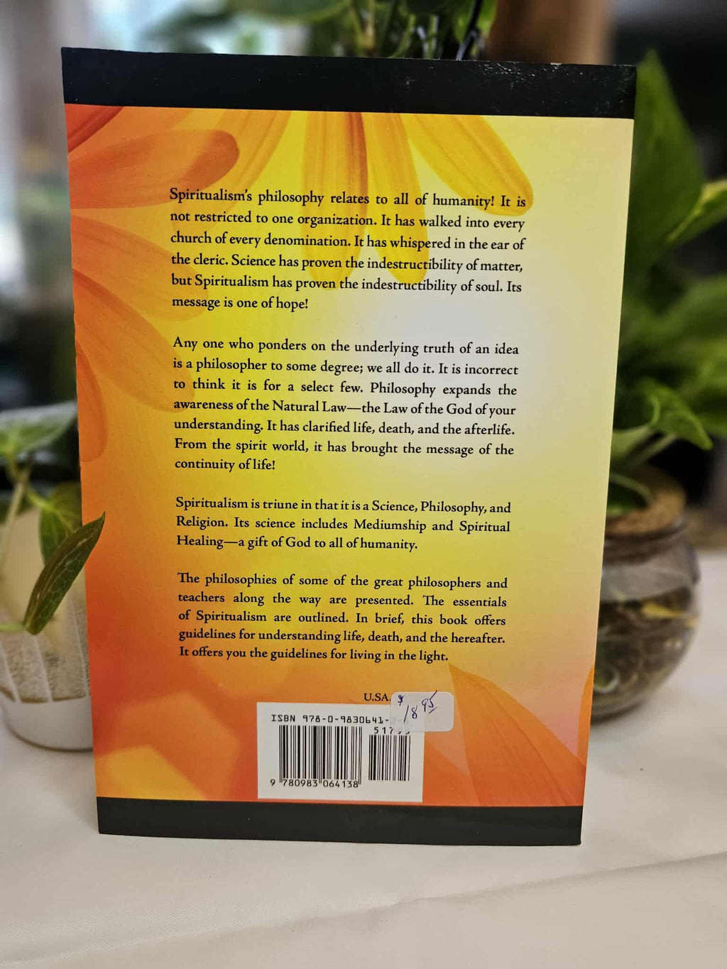 Living In The Light by Marilyn J. Awtry - Book