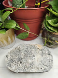 Apophyllite Crystal – Your Personal Beam of Calm, Clarity, and Sparkle