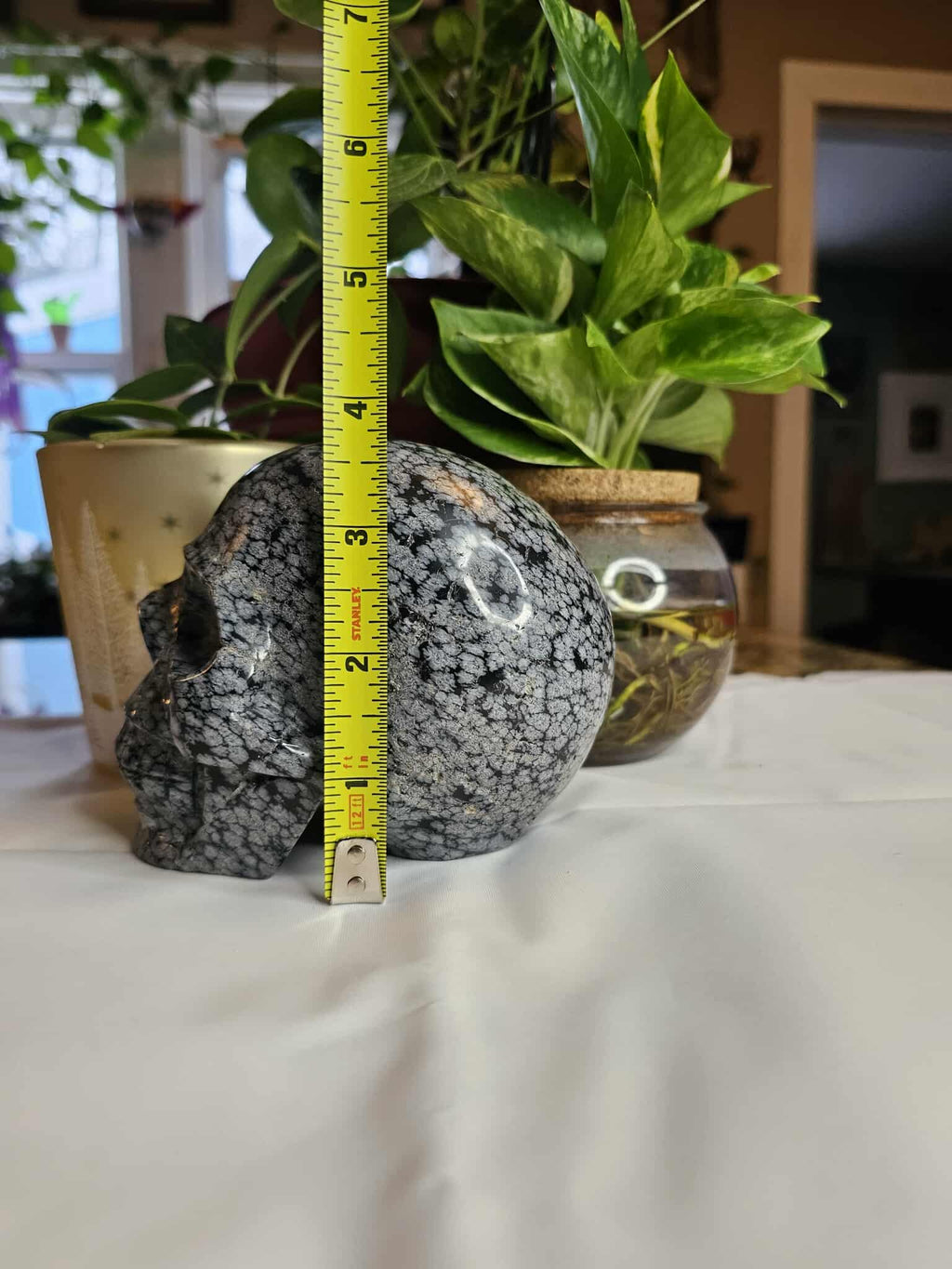Snowflake Obsidian Crystal Skull – Calm, Cool, and a Little Bit Spooky-Cute